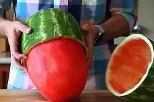 123木头吃瓜,吃瓜群众看热闹  第2张